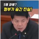 위법으로 몰래 파병했다 이미지