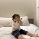 충효포차 네이버블로그