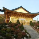 수국사 이미지