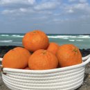 예찬푸드