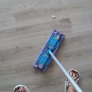 샤프메즈 이미지