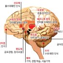 첨단인지학습센터 이미지