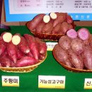 대산개발 이미지