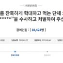 낄낄고양이 이미지