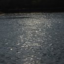 대천어린이공원 이미지