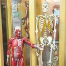 김수성한의원 이미지