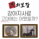 개밥집 | 강아지사료 종류 고대 개밥은?