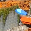 부평역(국철1호선) 이미지