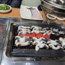 영광풍천장어 이미지