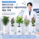 치과 개원 선물 고민이라면? 해피키즈치과 · 송탄더봄치과 · 서울코끼리치과 배송 사례