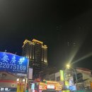 고고여행사