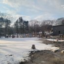 토레스트 이미지