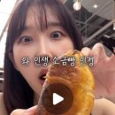 콩이랑 초이랑 이미지