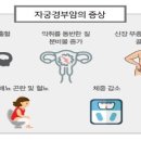 365내신뱅크학원 네이버블로그