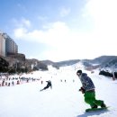 파인리조트 이미지