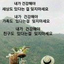 &#34;10만평에 108홀 추진&#34; 전국 파크골프장 붐, 이미 400곳 돌파 이미지