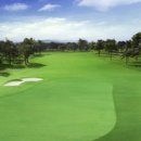 현충원로(유성-19) 이미지