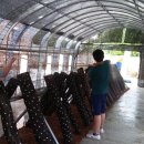 사창농장 이미지