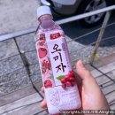 CU 뉴청라저수지점 | 대리님과 같이 떠난 시간배...그래도 손맛은 봤습니다..ㅎ