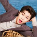 인디안(웰메이드) 이미지