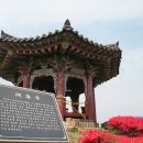 완도중학교앞 이미지