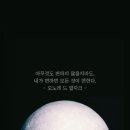 콩닭콩닭 이미지