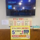 본가로간암퇘지
