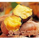 마삼계탕