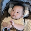 [찰떡이네] 요즘일상 / 5개월 아기 옷, 이유식 시작, 이유식 식기,홈케어, 6개월아기 놀이, 아기 장난감