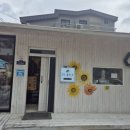 구산동 강아지 | 김해구산동맛집 김해구산동돈카츠 71돈카츠