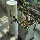 보고보고 | LG 대용량 가습기 꼼꼼히 따져보고 구매한 후기