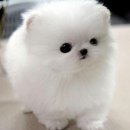 태우하우스 이미지