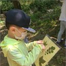 독산유치원 이미지