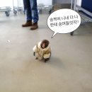 마이데일리룩 이미지