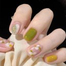 데이지플라워 이미지