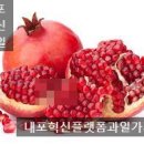 유가네맛김 이미지