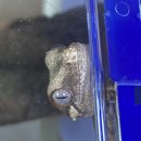 파우 동물병원 이미지