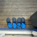 햇살이 가득한 집 펜션 | 강화도 조용한 독채펜션 강화도연미정펜션 : 나무와나무펜션