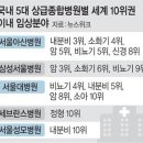 ♧2024년 9월 20일 신문을 통해 알게 된 것들 이미지