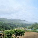 매화산목장 네이버블로그