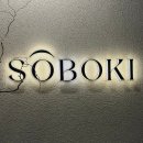 (사)한국가야금연주가협회 | 251206~251214_(12월 일상) 솔로인데 솔로 아닌 일상