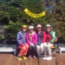 미로농장 이미지