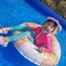 대암 팜트리 이미지