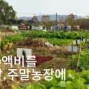 더라파팜 이미지