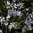 이대감김대감 이미지