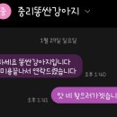 똥싼 강아지 펫아울렛 이미지