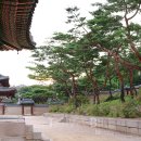 고궁의아침 이미지