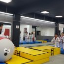 예능익스트림태권도장 이미지