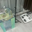 아이앤지 | 주안 필라테스 ‘아이앤지 요가 필라테스 주안점’ 방문 후기