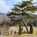 장령산자연휴양림 이미지